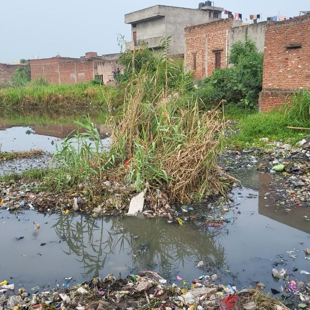 बारिश के दौरान बहे बच्चे का शव 80-घंटे बाद मिला:मुजफ्फरनगर में कुत्ते ने दिया सुराग, तालाब की झाड़ियों से मिली लाश