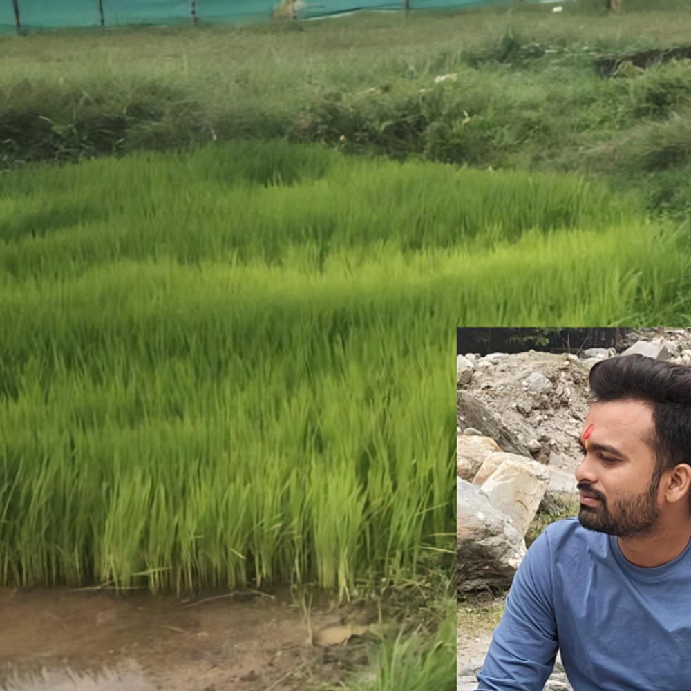 लाखों का पैकेज छोड़ इंजीनियर ने चुनी खेती:बस्तर में इजराइली मेथड से उगा रहे धान-आम-चीकू और अमरूद, 50 लोगों को दे रहे रोजगार