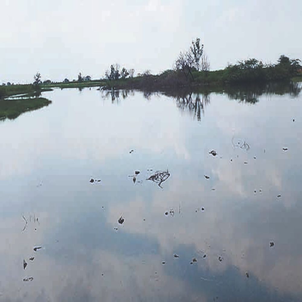 डीग जिले के 61 गांव जलमग्न:10,401 हेक्टेयर भूमि डूब में, 12,919 किसानों की रबी फसल बुवाई पर संकट