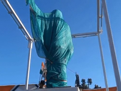 सोनिया-प्रियंका गांधी वीरभद्र सिंह की प्रतिमा का अनावरण करेंगी:10 हजार की भीड़ का लक्ष्य; विक्रमादित्य का सपना पूरा होगा, इसके लिए दिया था इस्तीफा