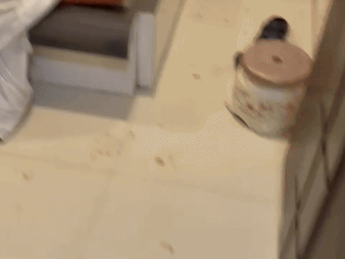 लुधियाना में होटल के कमरे से मिला वेटर का शव:पहले काटी कलाई,फिर लगाया फंदा,कश्मीर में करता था काम